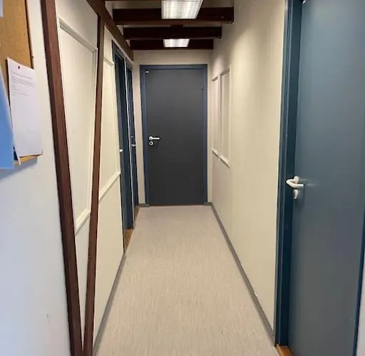 With Common Bath And Kitchen 公寓 利勒哈默尔