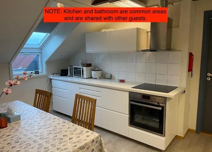 With Common Bath And Kitchen 公寓